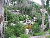 Images-g499445-d599193-b1524911S-One_of_the_cenotes_at_GSRM-Grand_Sirenis_Riviera_Maya-Akumal_Yucatan_Peninsula.jpg
